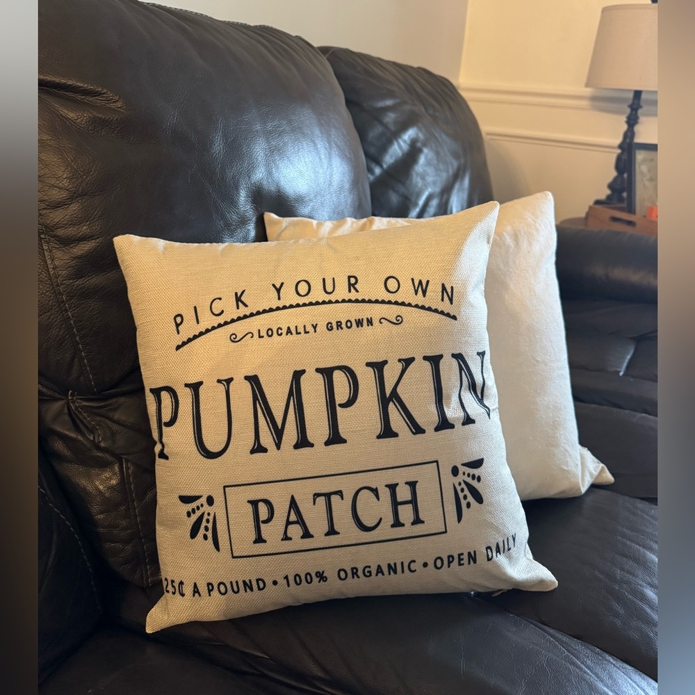 Pumpkin Patch Decorative Pillow covers. - Picture 2 of 3